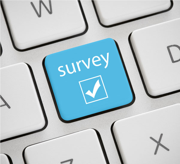 NCP Surveys